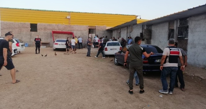 Çiftlikteki horoz dövüşüne: 40 kişiye 60 bin lira ceza